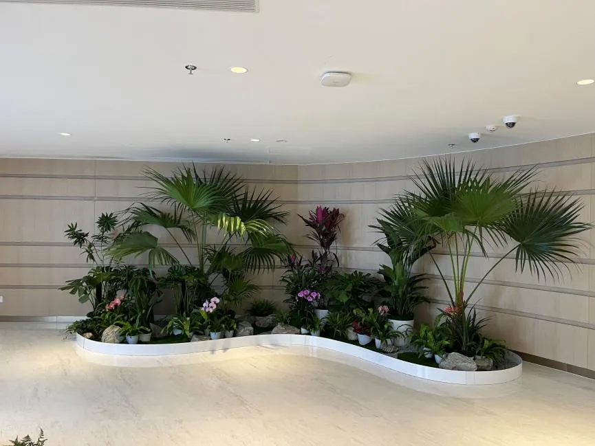 体验宁波慈溪绿植租赁设计，拥抱自然气息